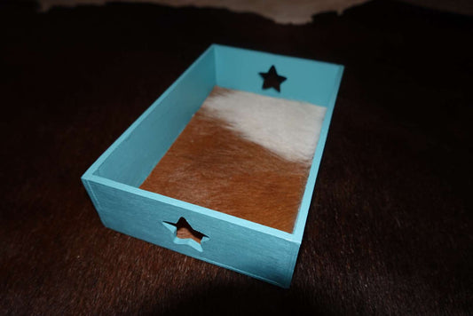 Cowhide tray with star cutout